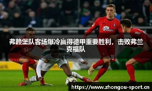 中欧体育平台