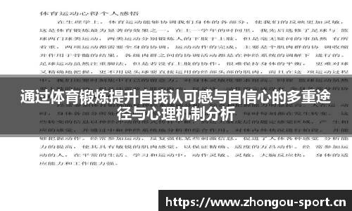 中欧体育平台