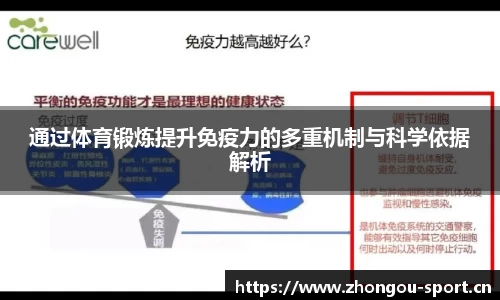 中欧体育